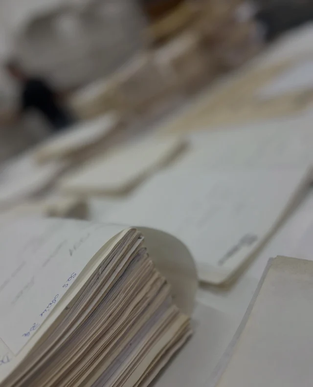 🦸‍♂️ #sortiranje #urejanje #arhivskogradivo #hisapisanihspominov #behindthescenes